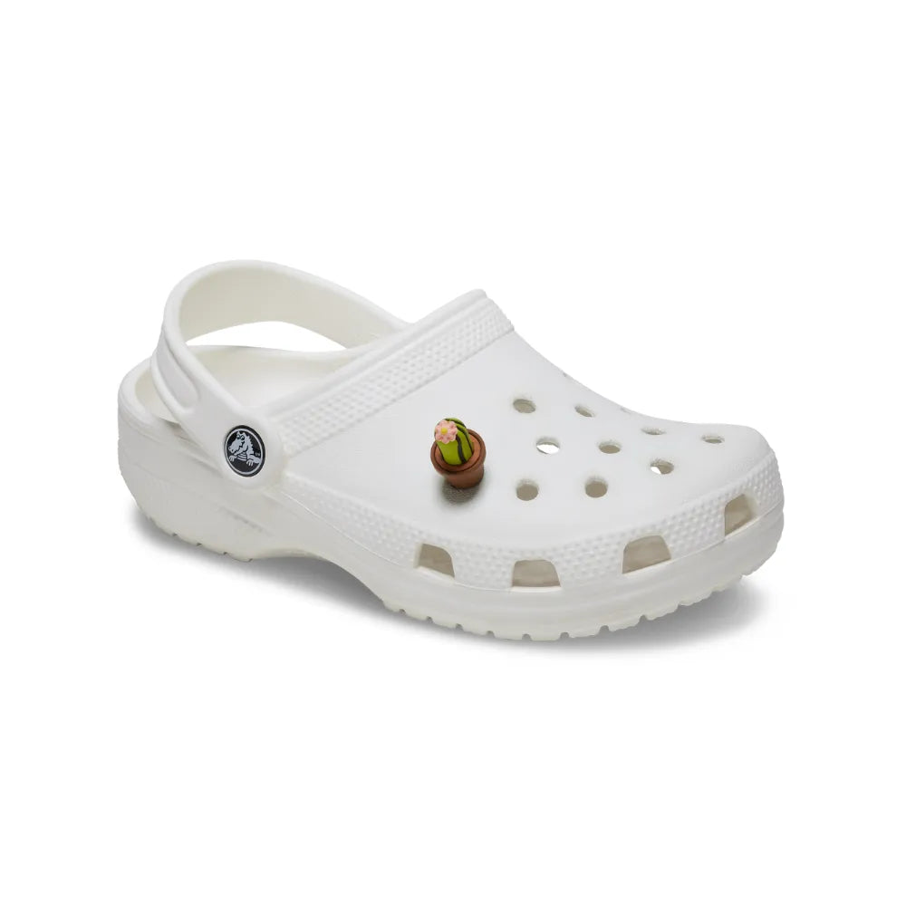 Cactus croc jibbitz online